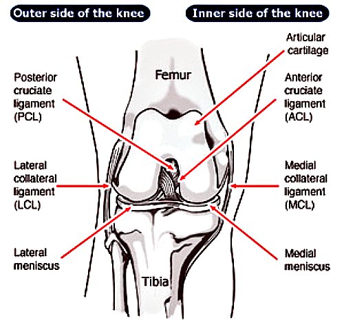 Knee Injuries In Soccer